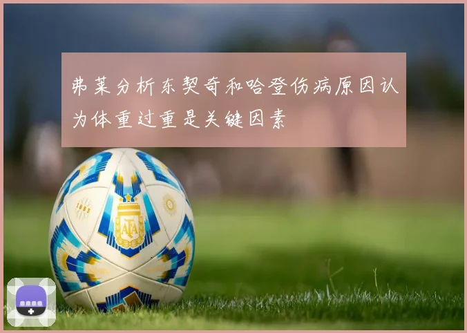弗莱分析东契奇和哈登伤病原因认为体重过重是关键因素